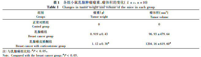 4T1炎性乳腺癌细胞接种联合皮质酮注射诱导乳腺癌并发抑郁症小鼠模型的研究