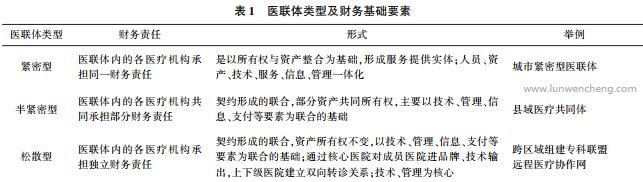 基于产权理论的医疗联合体财务管理问题初探