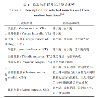 基于多路sEMG时序分析的人体运动模式识别方法