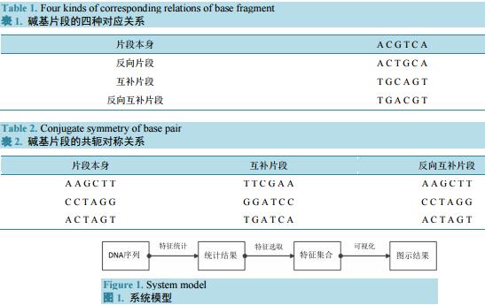 DNA序列互补匹配特征分析及可视化系统