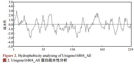 沙田柚谷胱甘肽转移酶基因(CmGST)的生物信息学及表达分析