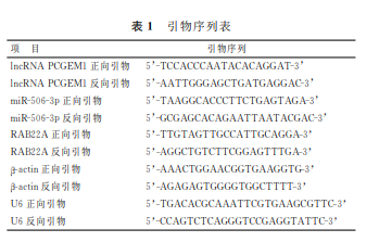 lncRNA PCGEM1对口腔鳞癌细胞生物学行为的调控作用