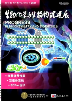 数字PCR定量检测血浆中环状RNA方法的建立